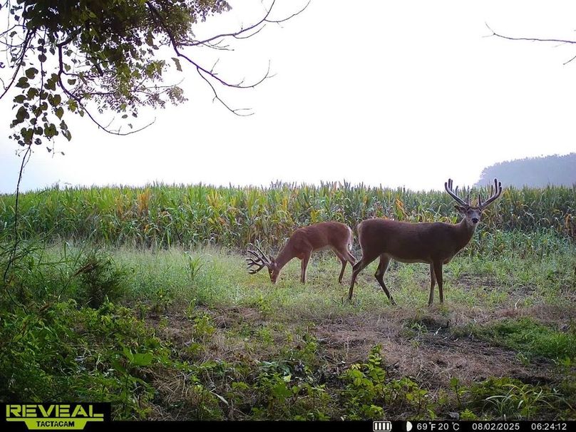 860322064549303-100-3-08022025090515-HD-SYEW0822