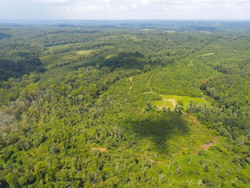 dji_fly_20250729_115638_733_1753804637225_photo