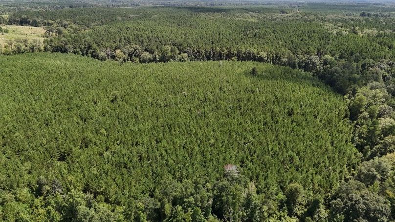 DJI_20250727033949_0549_D