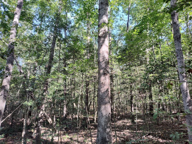 IMG_20231009_151000342_HDR