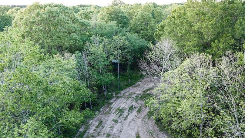WhiteCoArkansas-11