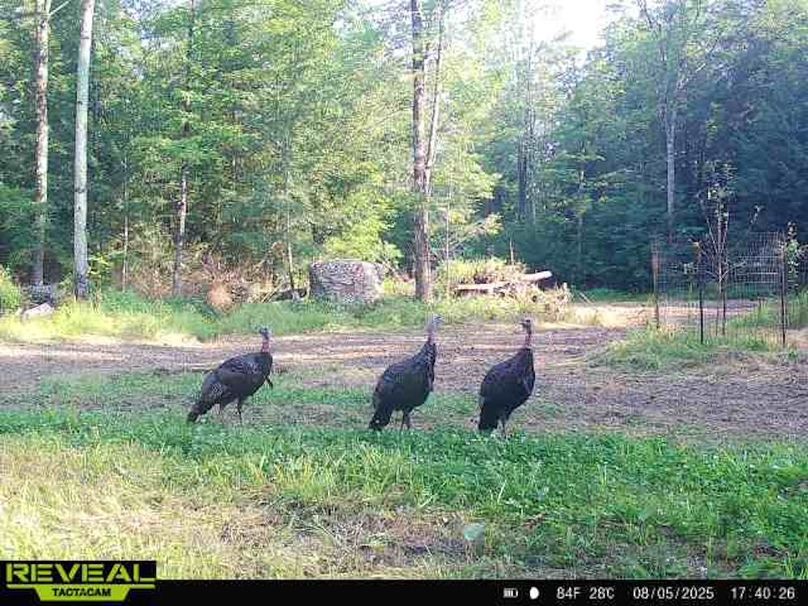 865814048724973-50-2-08052025174026-W1014569