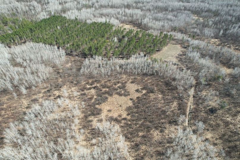 dji_fly_20260415_161322_157_1776288016682_photo