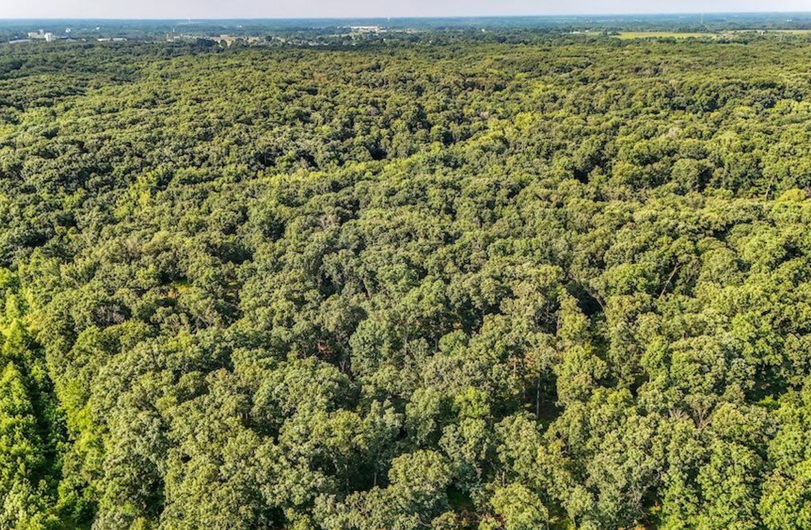 DJI_20250729075751_0088_D