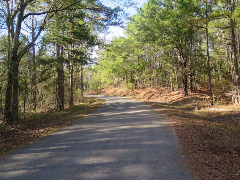 Lauderdale Co - 74 - Gillentine-06