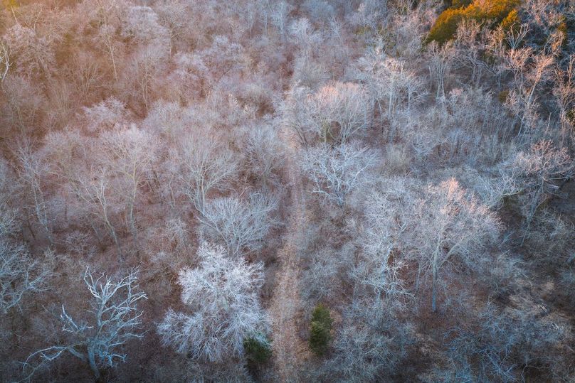 DJI_20260121165327_0512_D