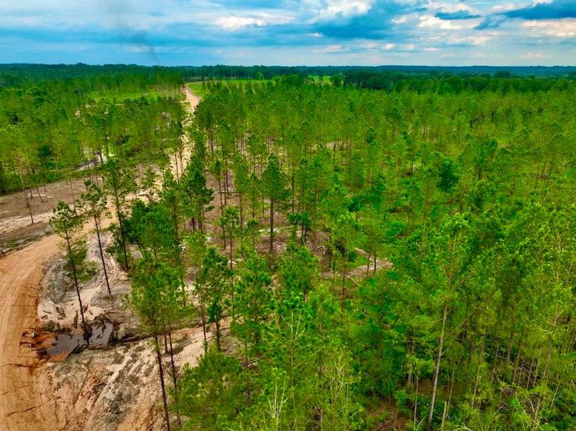 CC16025F-FAFB-4C8F-80DD-A6E3D70E9C86_1_105_c