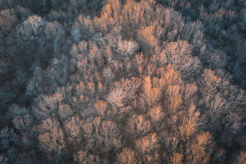 DJI_20260309184228_0341_D