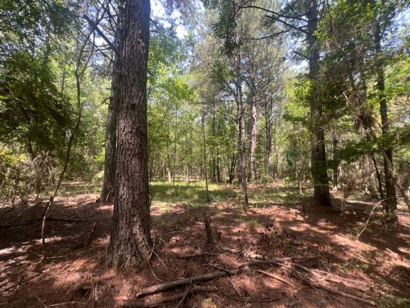 366F6808-489B-4386-A22B-D2463AFEE69C_1_105_c