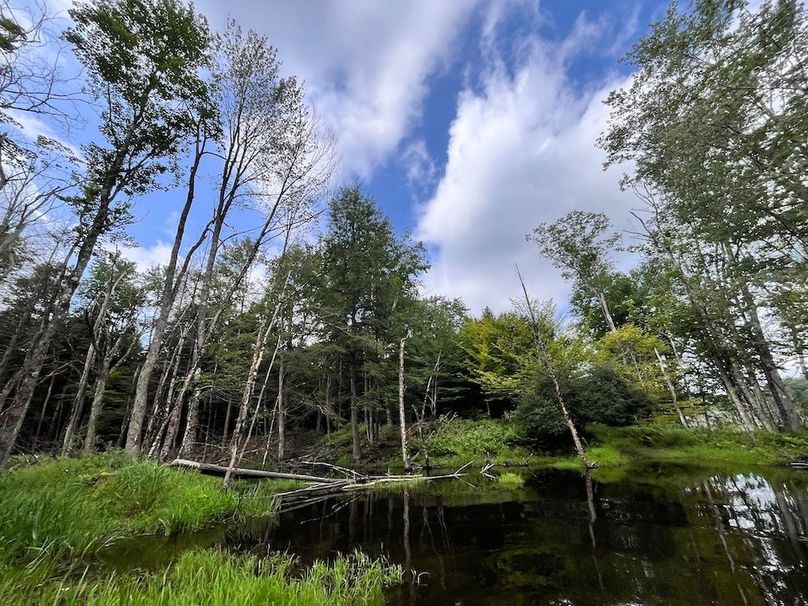 Oswego_133.72_Middleton_Photos_31