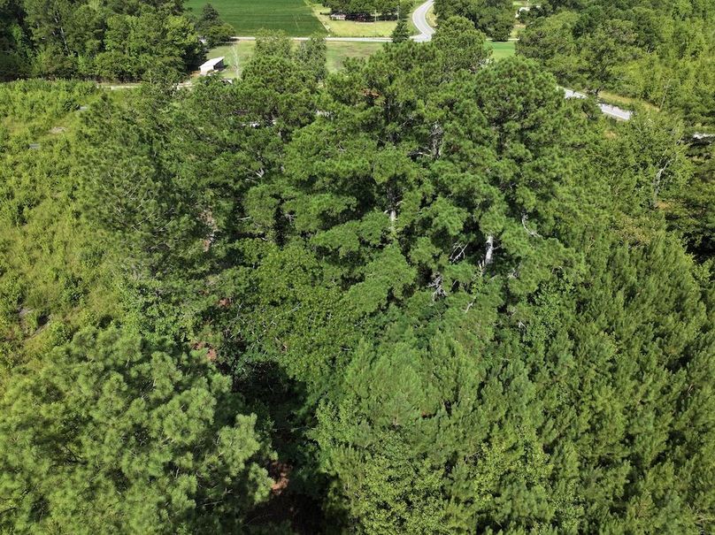 DJI_20240710101625_0004_D