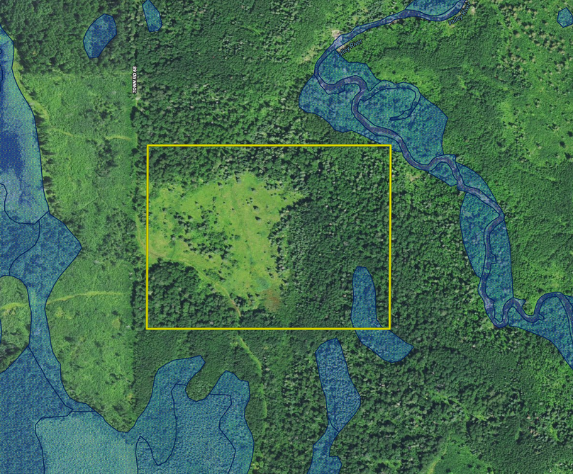 TBD Town Rd. 68 wetlands layer