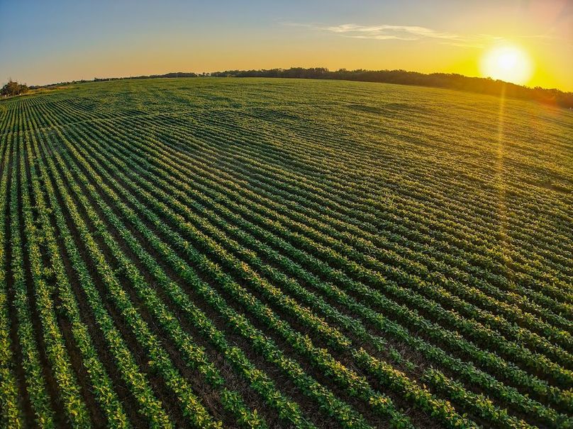 DJI_20250816071055_0737_D