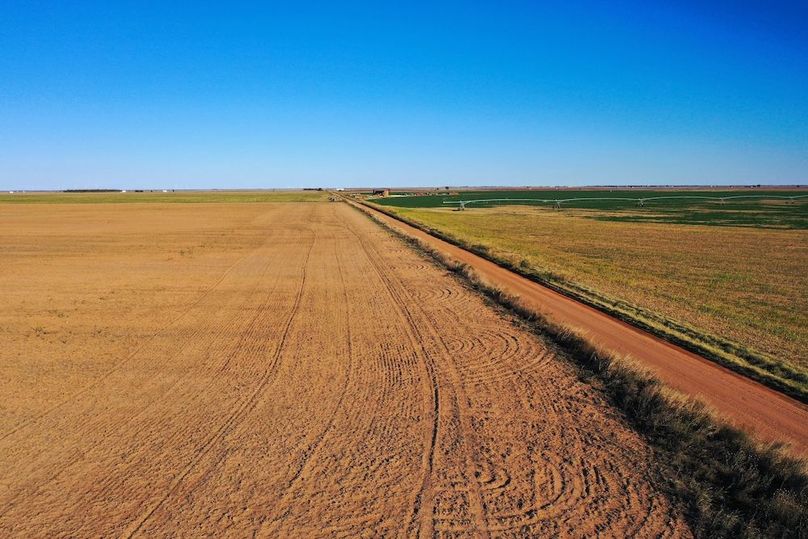 org_04ffb29917e863b4_1762729640000