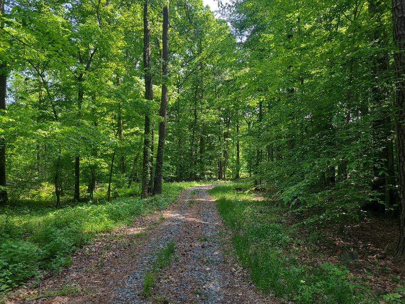 26.48ac_McKenneyLn_QAnnes_04