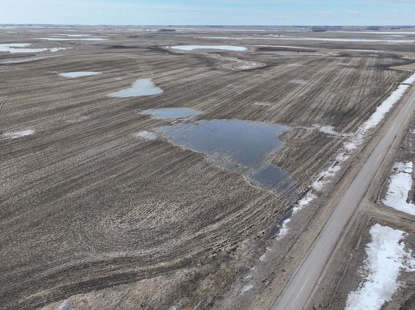 DJI_20260216150011_0074_D