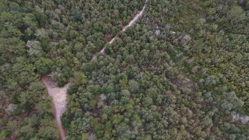 DJI_20231117115541_0021_D