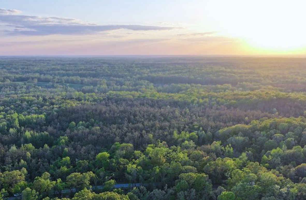 Tallahatchie 44 Newman (Crowden) Wide-2