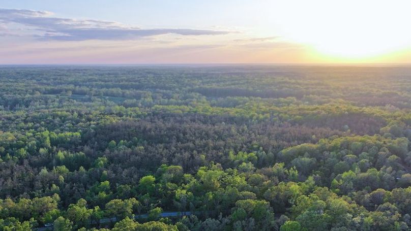 Tallahatchie 44 Newman (Crowden) Wide-2