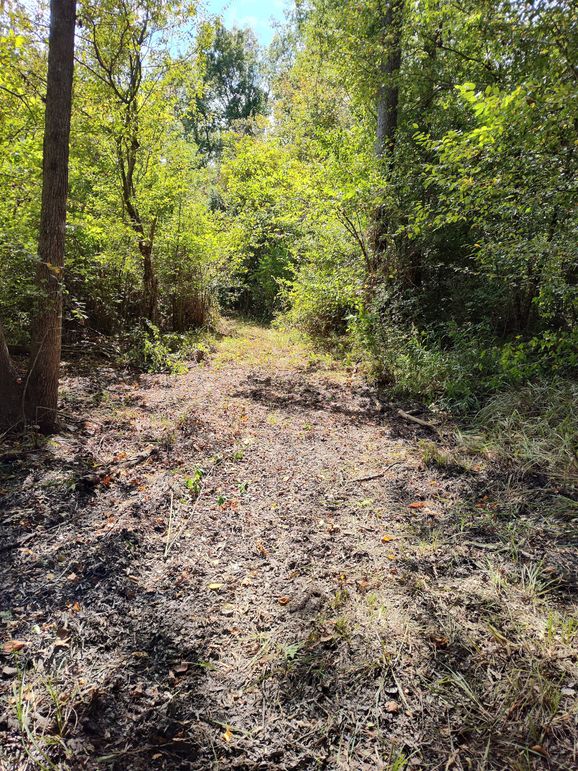 IMG_20231009_132843707_HDR