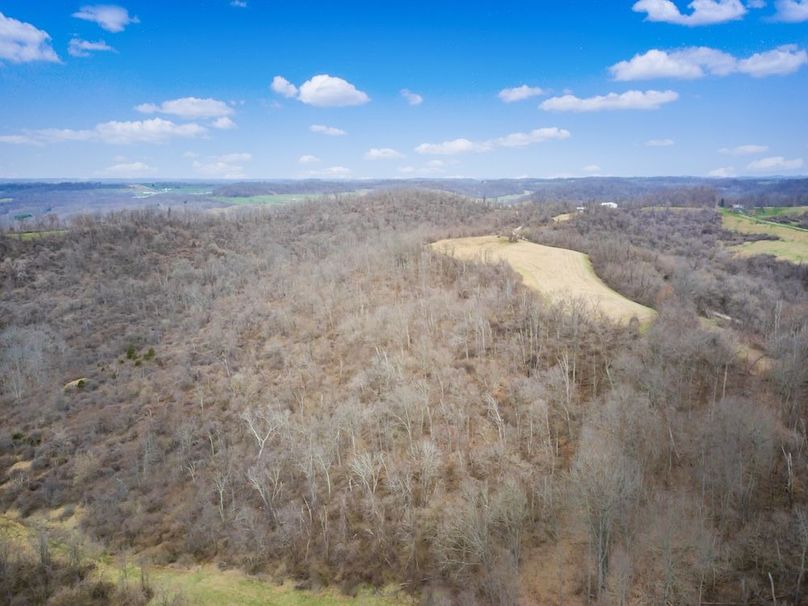 04-zj 46444 Parry Hollow Rd004