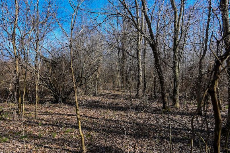 vandalia 450 (2)-1673