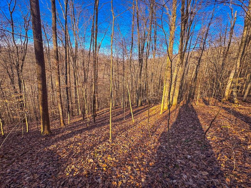 Lewis, WV 82.87 AC Barger-50