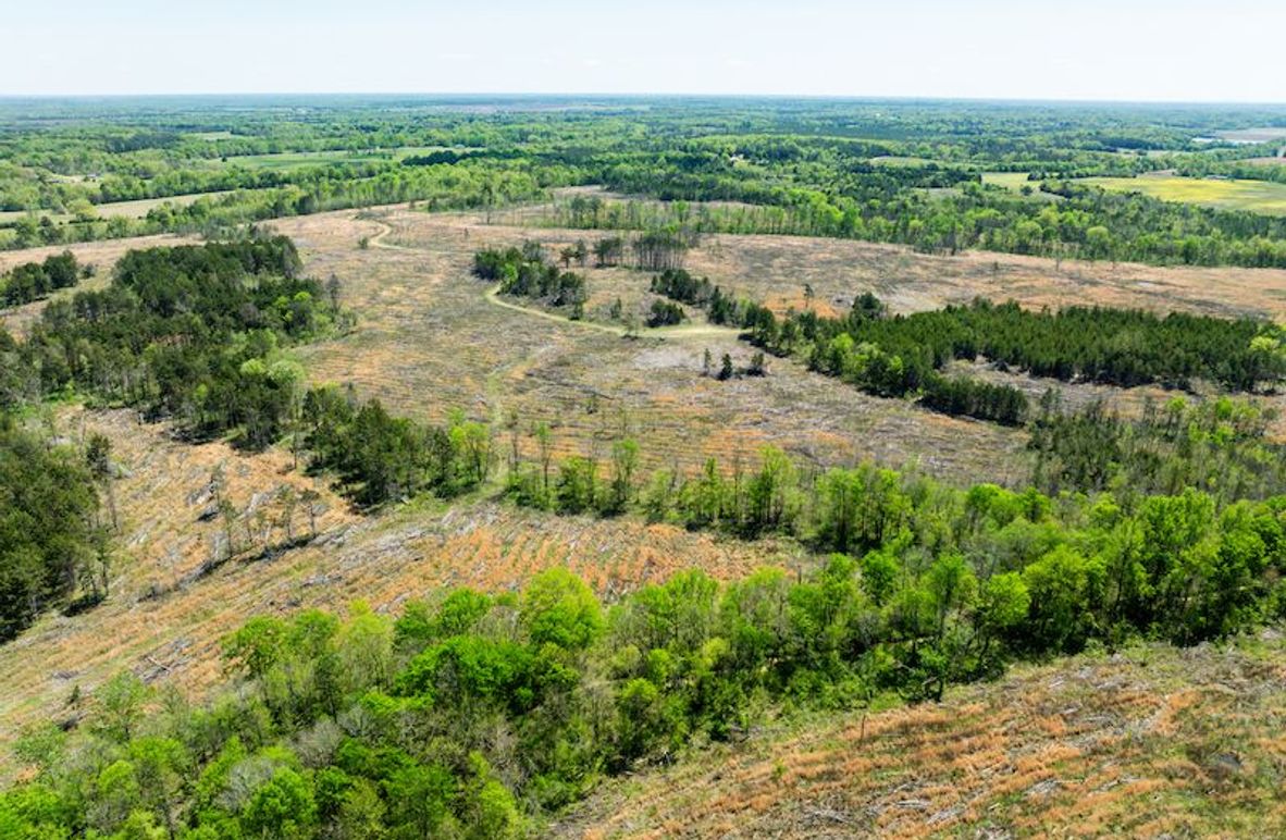 Chickasaw 165 Woods-06