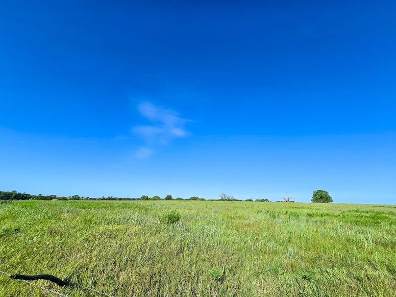 Copy of 20250729_085803