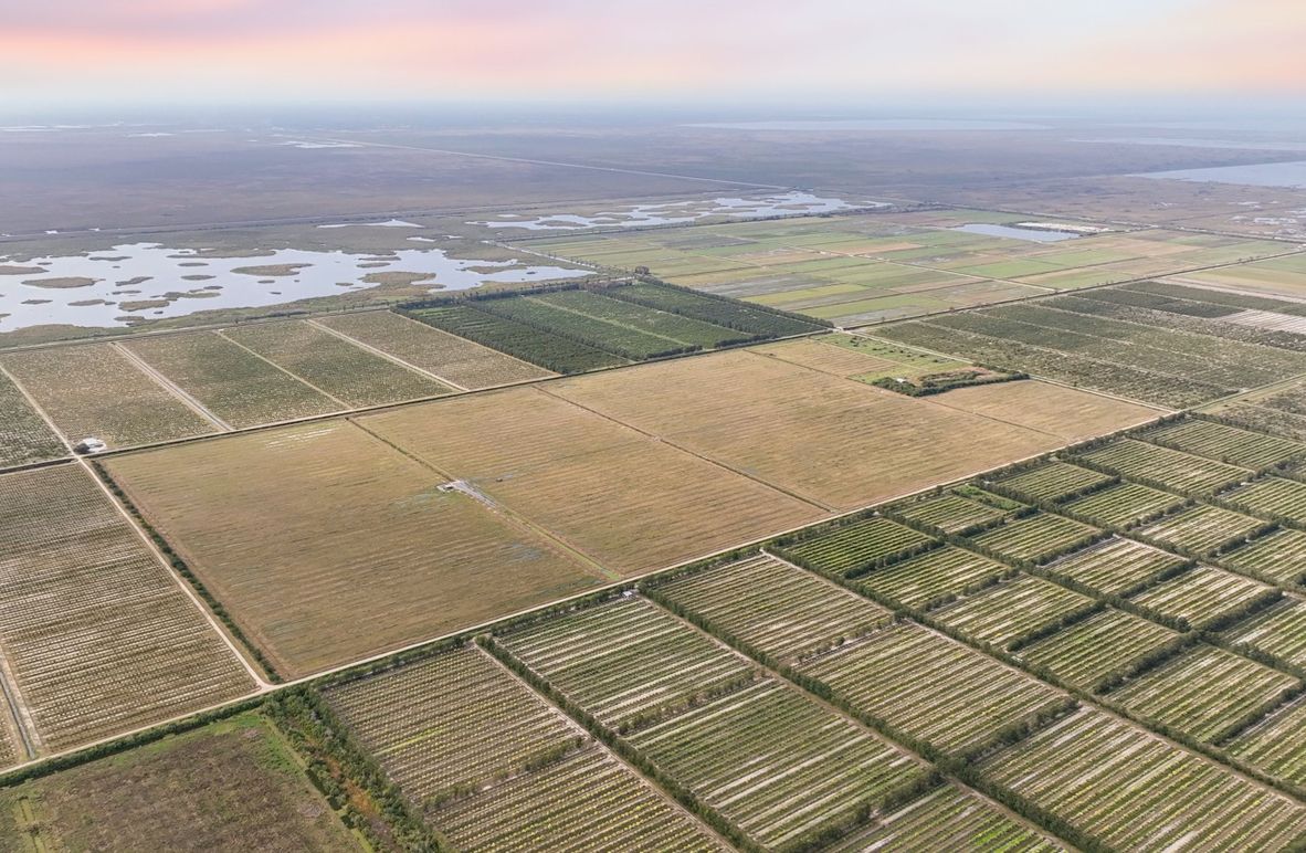 Vero 276 +_- Acres-10