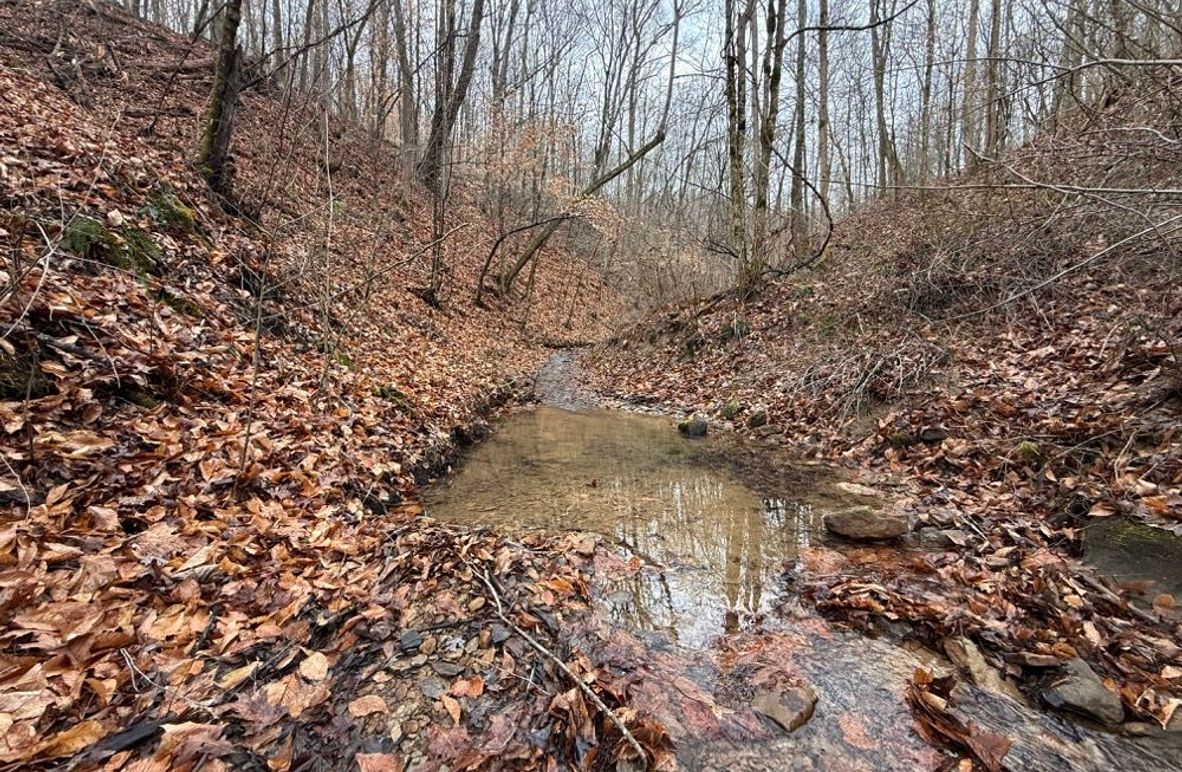 001 the stream flowing north through the property toward Georges Creek and the Levisa Fork of the Big Sandy River