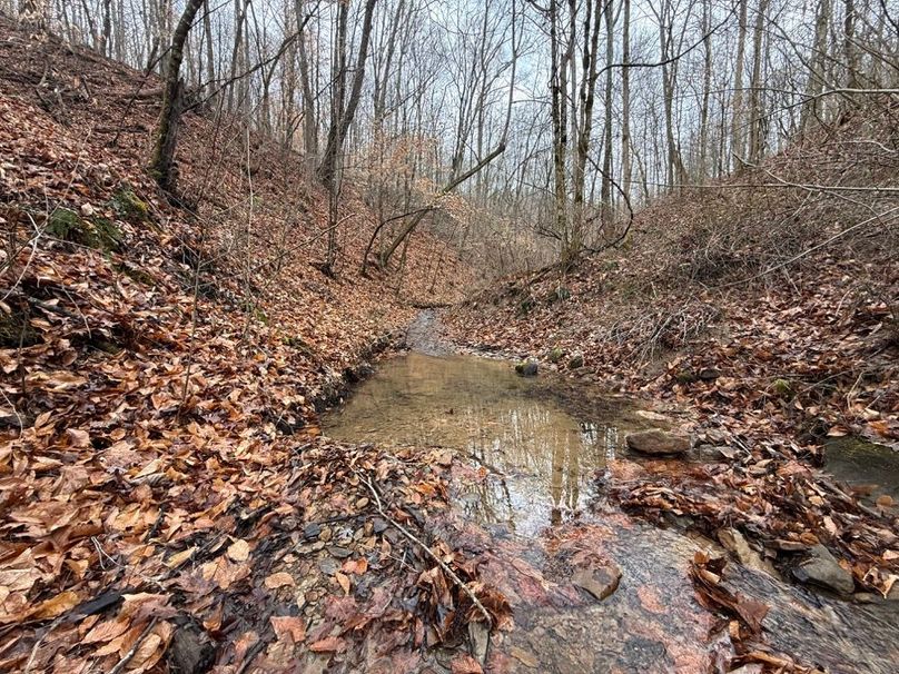 001 the stream flowing north through the property toward Georges Creek and the Levisa Fork of the Big Sandy River