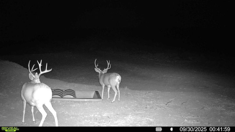 cd75395a-5957-4191-bb77-ea53a34542fd