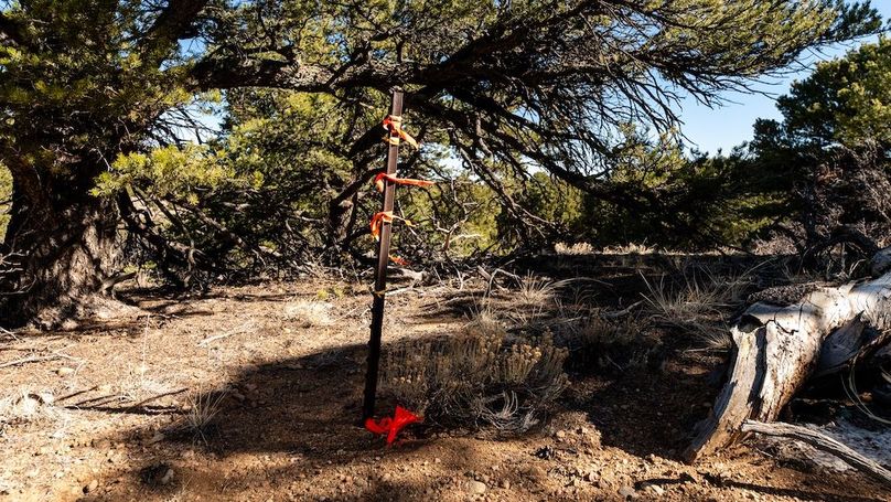 023 - Boundary Marker