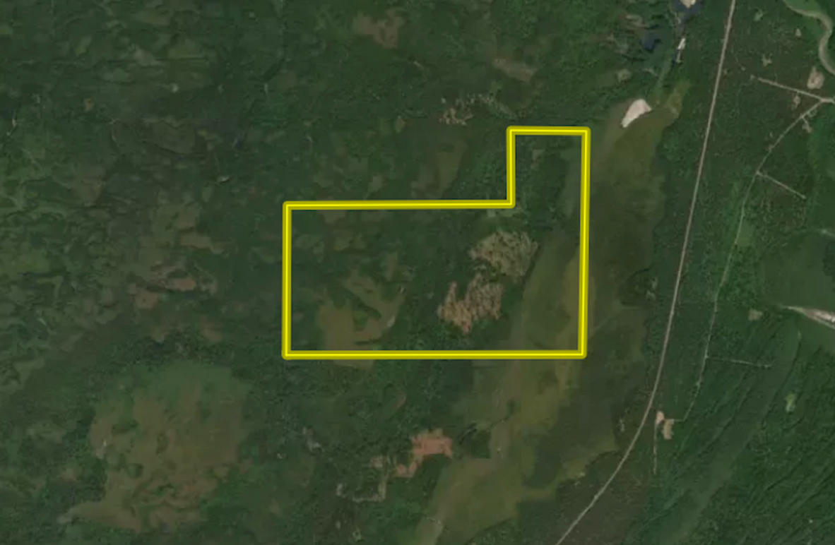 Screenshot 2025-11-14 at 3.08.46 PM