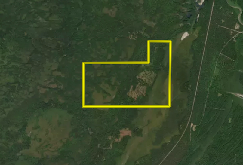 Screenshot 2025-11-14 at 3.08.46 PM