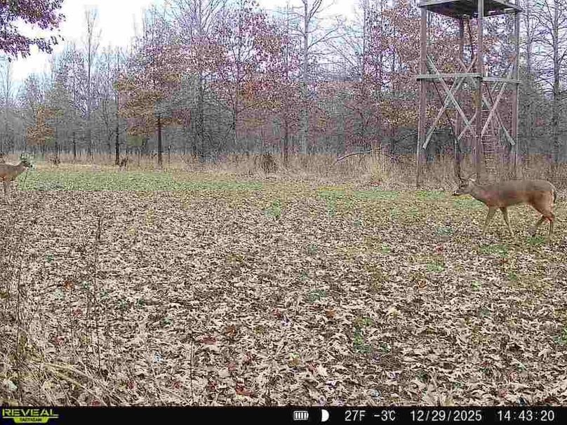 860516067536189-80-2-12292025144320-V-W1001506