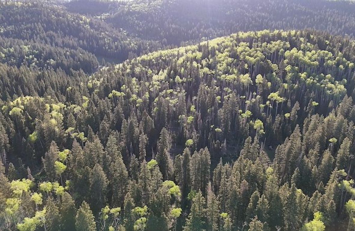 DJI_20250613190834_0002_D