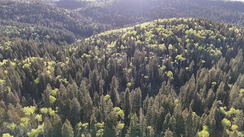 DJI_20250613190834_0002_D