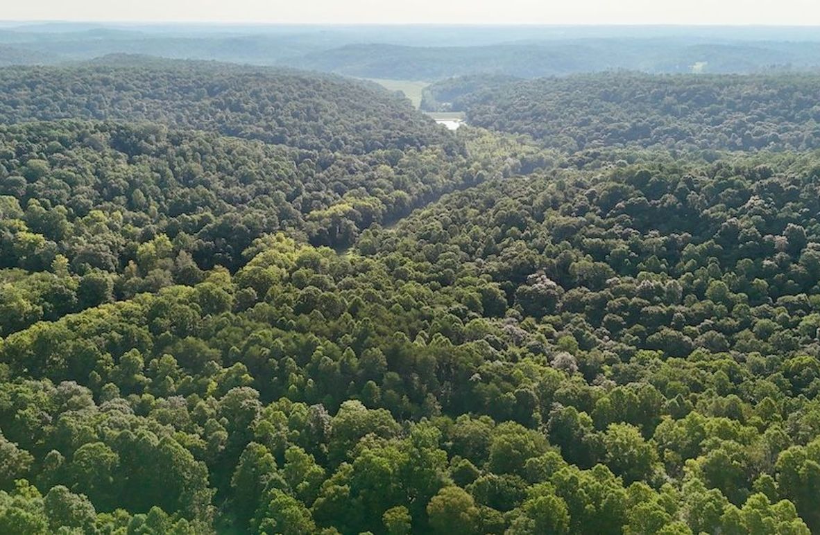 dji_fly_20250819_093350_0582_1755617546893_photo