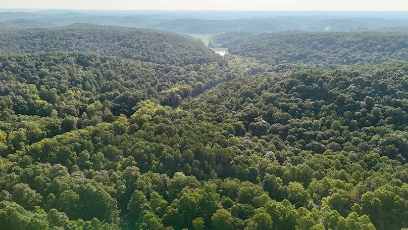 dji_fly_20250819_093350_0582_1755617546893_photo