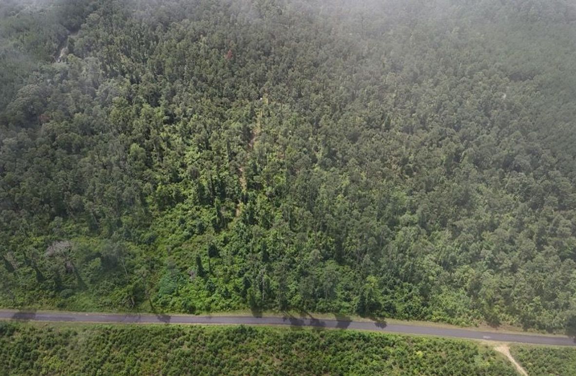 DJI_20250727011726_0525_D