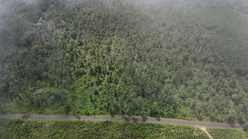 DJI_20250727011726_0525_D