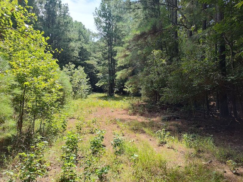 IMG_20250830_115921408_HDR