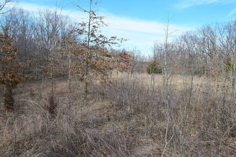 DSC_0307_inPixio (2)