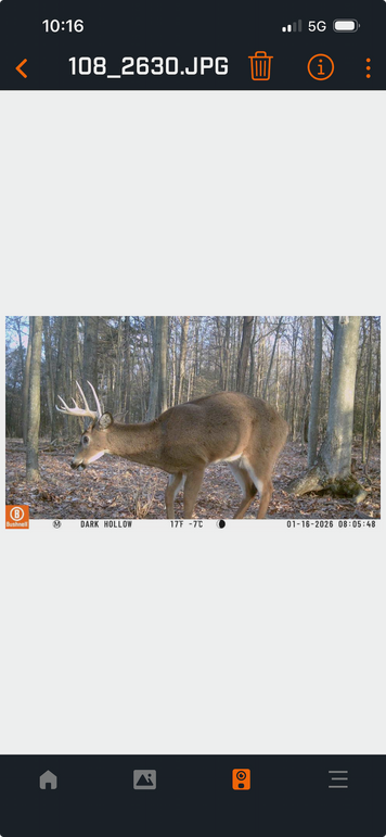 Screenshot 2026-04-02 at 10.16.58 AM 2