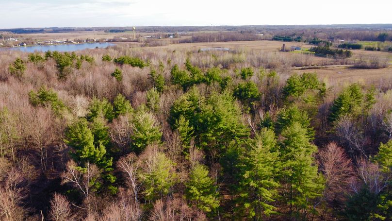 dji_fly_20230504_180240_680_1683241429554_photo_optimized