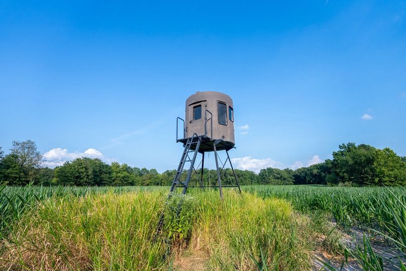 Copy of DSC06164 Large