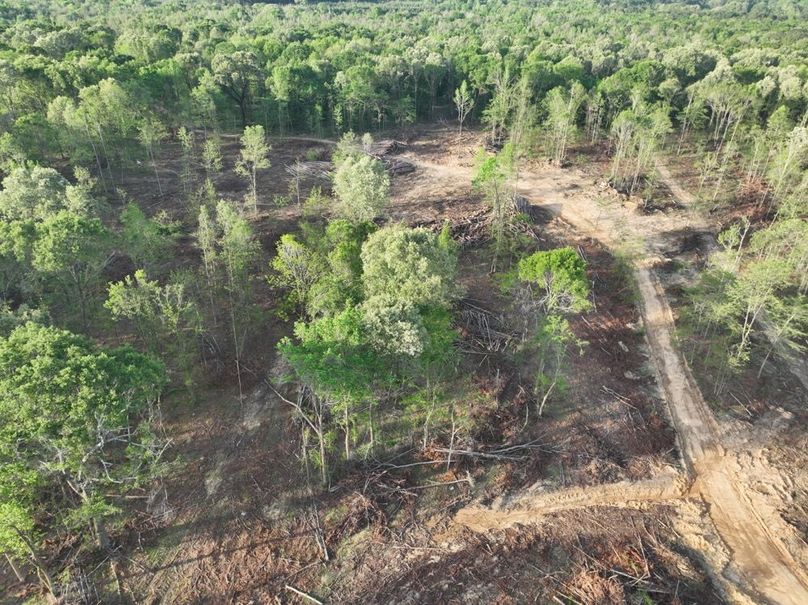 dji_fly_20260407_083642_367_1775580310969_photo