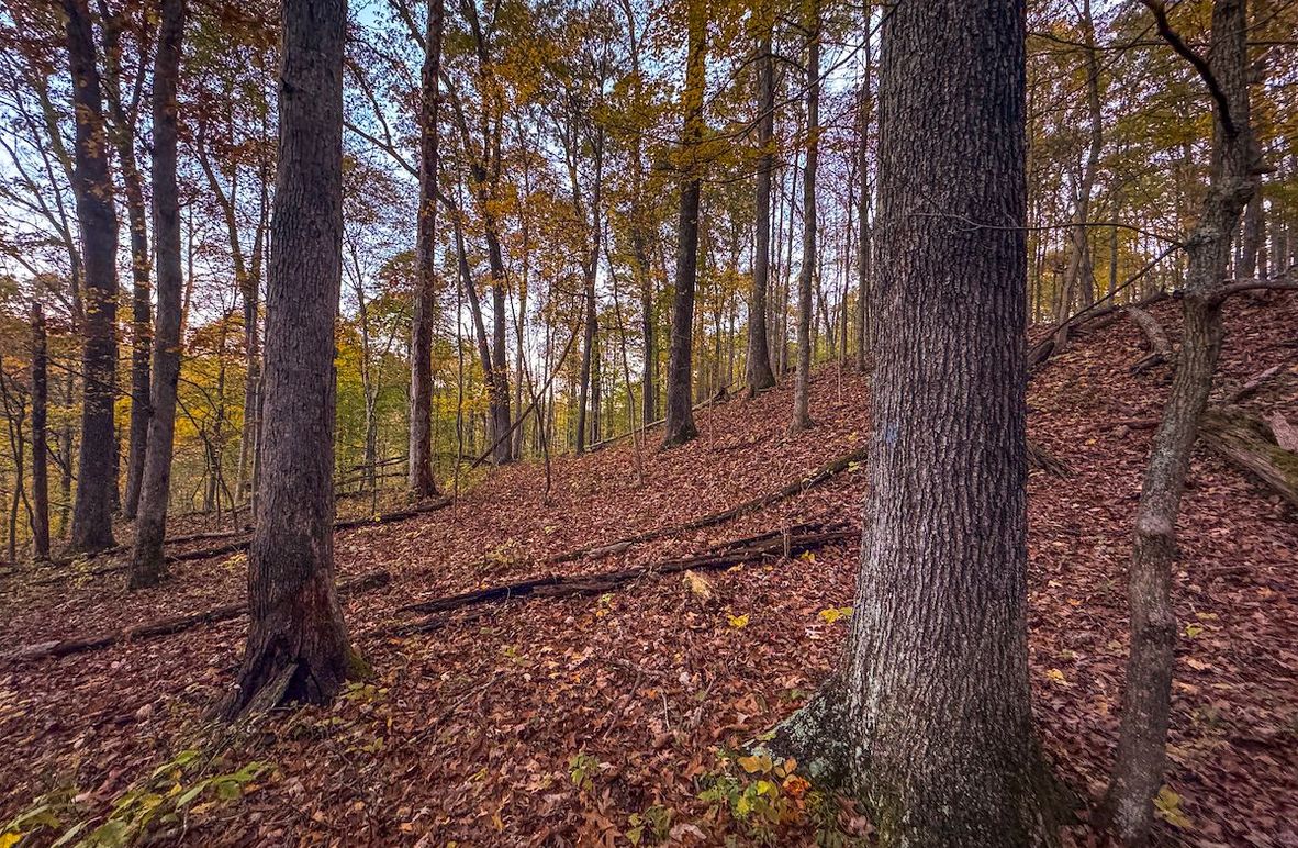 Wirt, WV 43 AC Berry-01